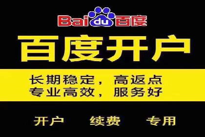 某品牌如何利用百度竞价广告实现品牌推广